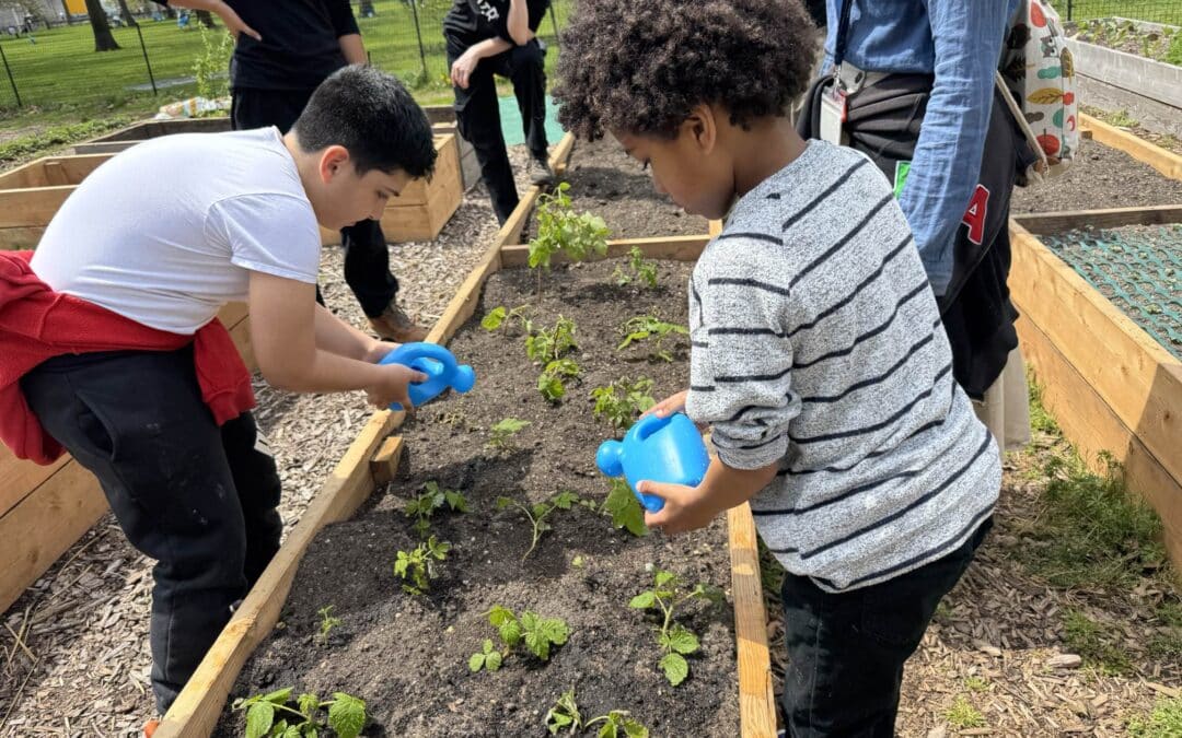 Earth Day at Battery Urban Farm: Learning Through Nature and Service
