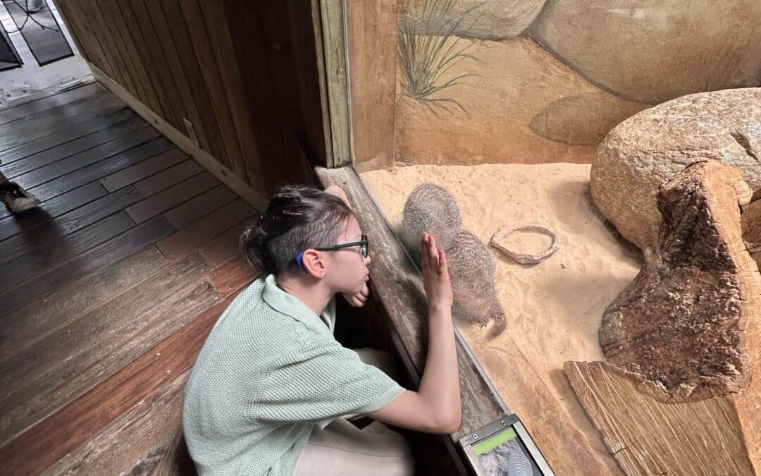 A Wild Adventure: Exploring Central Park Zoo’s Tropic Zone
