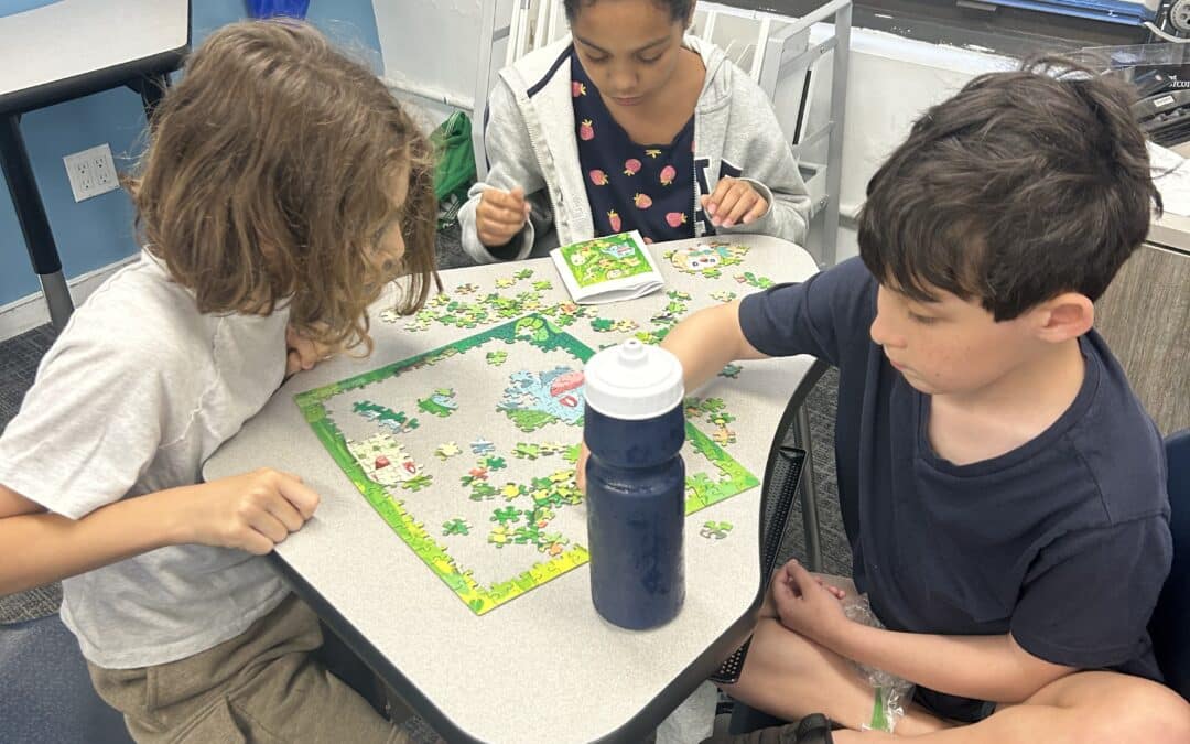 Understanding the Laws That Help Children with Educational and Emotional Needs