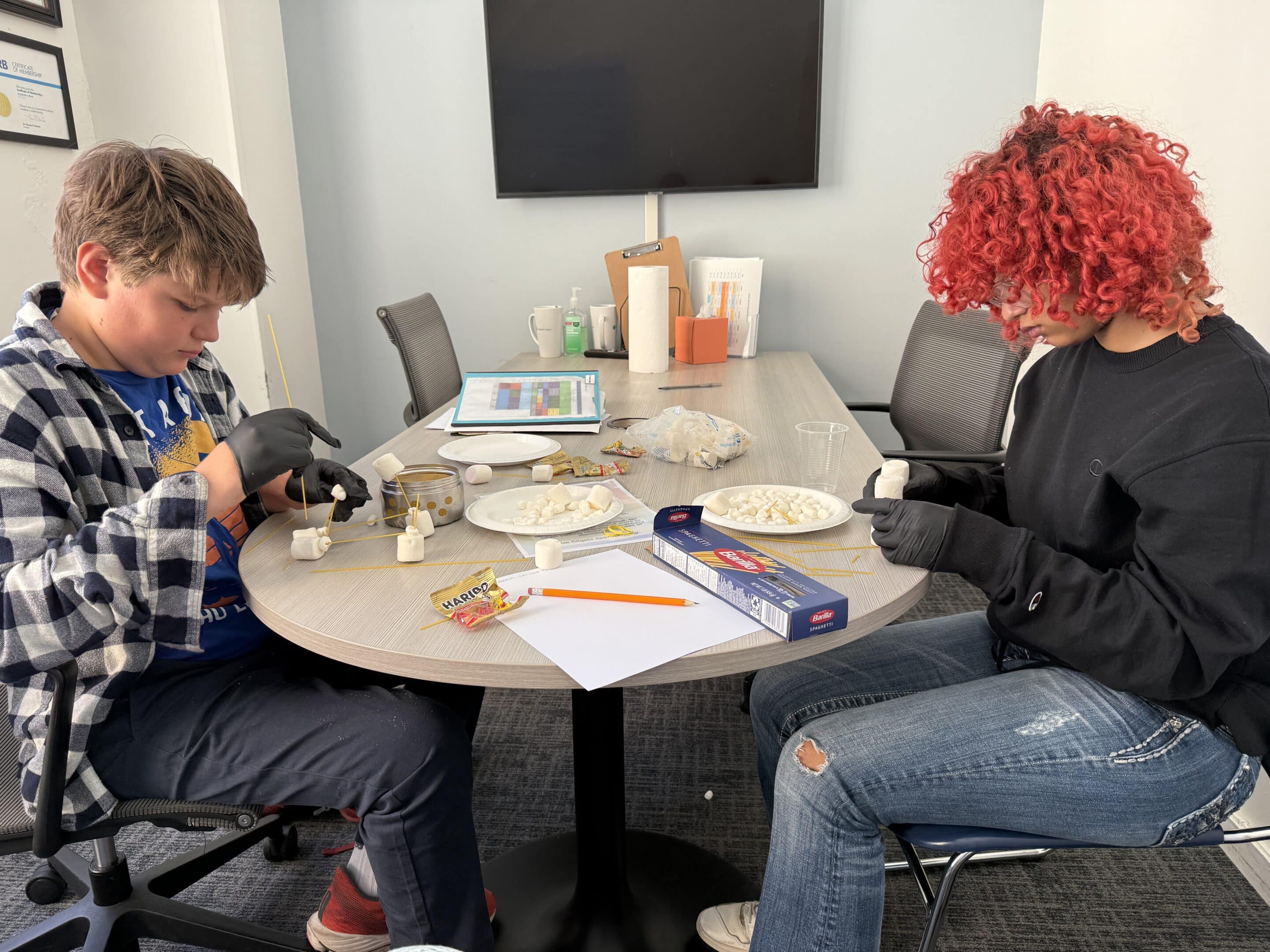 Image – 2025-10-10T172300.288 A dog with a blue collar sits comfortably on a couch, looking content and relaxed in a cozy living room setting.