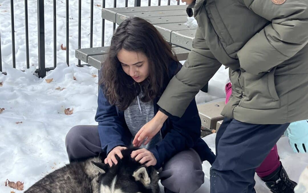 Panic Attacks at School: Why They Happen and How Schools Can Help