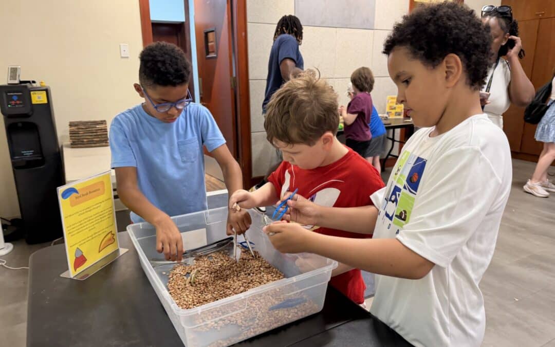 Why Smart, Verbal Kids Often Struggle in Traditional Classrooms